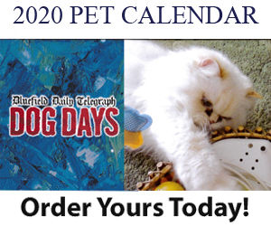 Pet Calendar 2020